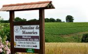 Enseigne d'accueil du domaine viticole